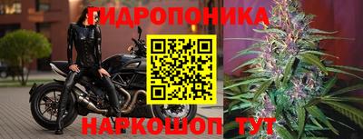 СК Мариинск
