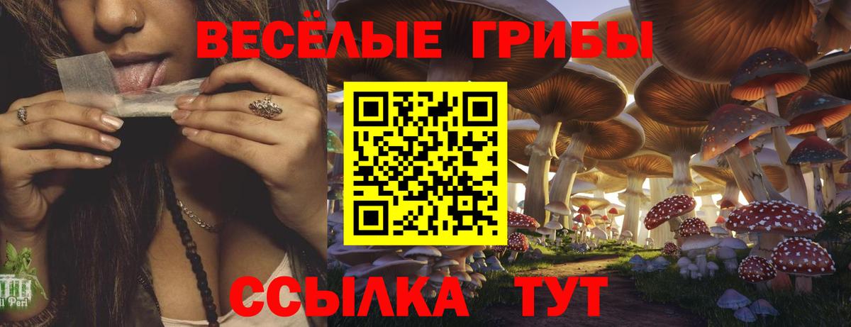 Псилоцибиновые грибы Psilocybe  закладка  Гагарин  Галлюциногенные грибы MAGIC MUSHROOMS  Вход с VPN 